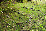 madagascar nosy lava radama bagne croisiere voilier michel bordieu reportage photographe