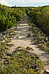 madagascar nosy lava radama bagne croisiere voilier michel bordieu reportage photographe