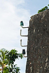 madagascar nosy lava radama bagne croisiere voilier michel bordieu reportage photographe