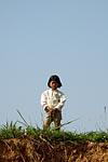 cambodge michel bordieu photographe