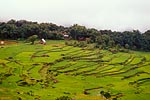 indonesie sulawesi lombok michel bordieu photographe