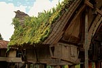 indonesie sulawesi lombok michel bordieu photographe