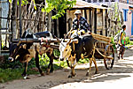 madagascar michel bordieu photographe