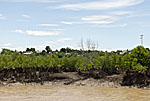 madagascar michel bordieu photographe
