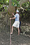 madagascar michel bordieu photographe
