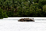 madagascar michel bordieu photographe