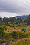 madagascar michel bordieu photographe