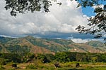madagascar