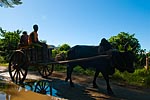 madagascar