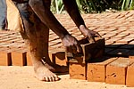 madagascar
