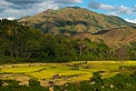 madagascar