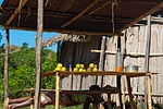 madagascar