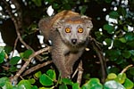 madagascar michel bordieu photographe