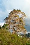mayotte michel bordieu photographe