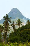 mayotte michel bordieu photographe