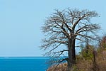mayotte michel bordieu photographe