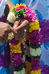 mayotte michel bordieu photographe