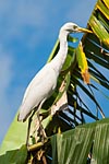 mayotte michel bordieu photographe