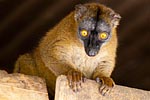 mayotte michel bordieu photographe