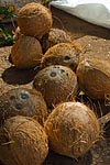 mayotte michel bordieu photographe