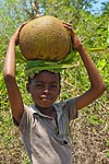 mayotte michel bordieu photographe