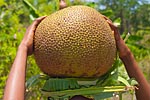 mayotte michel bordieu photographe