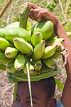 mayotte michel bordieu photographe