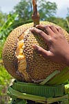 mayotte michel bordieu photographe