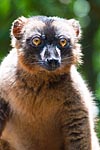 mayotte michel bordieu photographe