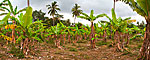 mayotte michel bordieu photographe