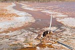 madagascar ifaty saline sel michel bordieu reportage photographe
