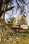 thailande sukhotai temple michel bordieu reportage photographe
