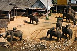 thailande michel bordieu photographe