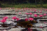 thailande michel bordieu photographe