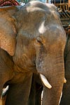 thailande michel bordieu photographe