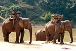 thailande michel bordieu photographe