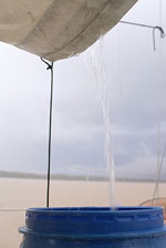 madagascar,loza