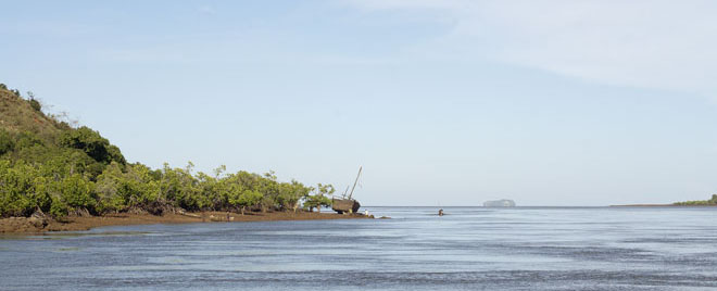 madagascar,loza