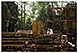 cambodge angkor temple boudha khmer michel bordieu voyage