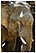 thailande chiang rai randonnee treck elephant opium michel bordieu voyage