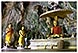 thailande chiang rai randonnee treck elephant opium michel bordieu voyage