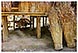 thailande chiang rai randonnee treck elephant opium michel bordieu voyage