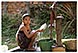 cambodge siem reap michel bordieu voyage