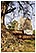 thailande sukhothai temple boudha michel bordieu voyage
