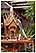 thailande sukhothai temple boudha michel bordieu voyage