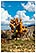 madagascar isalo massif randonnee treck michel bordieu voyage