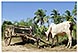 madagascar tulear toliara michel bordieu voyage