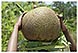 mayotte grande terre michel bordieu voyage